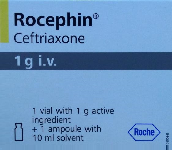 Rocephin IV 1g